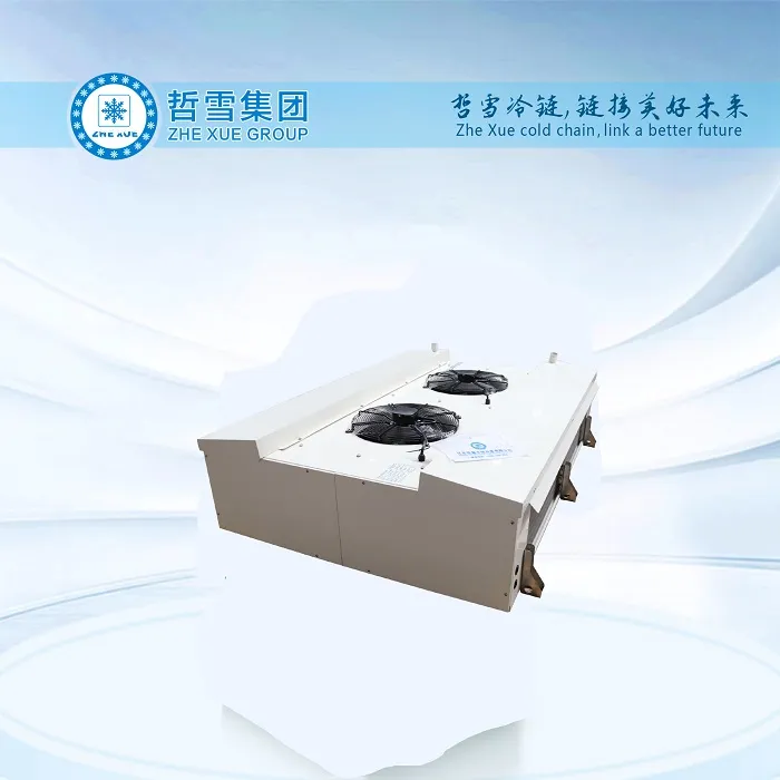 Zhexue Roof Mounted Evaporator For Vegetables Cold Storage