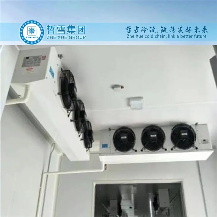 सब्जियों के कोल्ड स्टोरेज के लिए ज़ेक्स्यू रूफ माउंटेड इवेपोरेटर