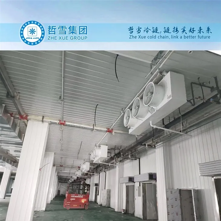 Zhexue Roof Mounted Evaporator For Vegetables Cold Storage