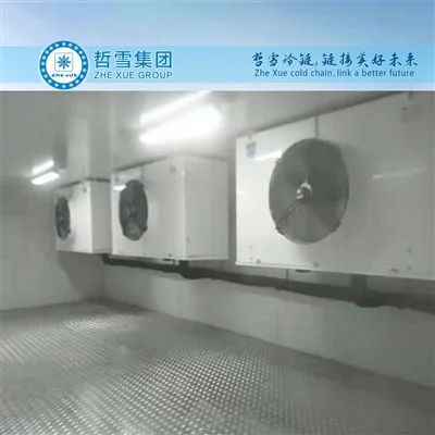 मांस जमे हुए शीत कक्ष