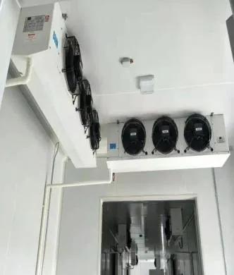 Zhexue ब्लड कोल्ड रूम कोल्ड रूम