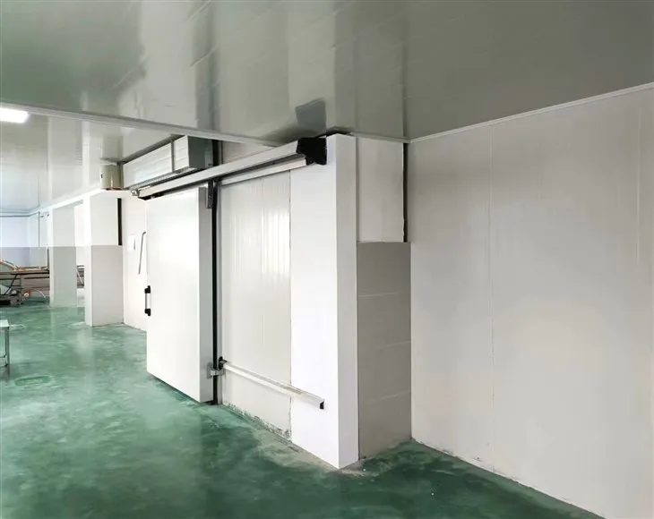 Zhexue निरंतर तापमान ठंड भंडारण